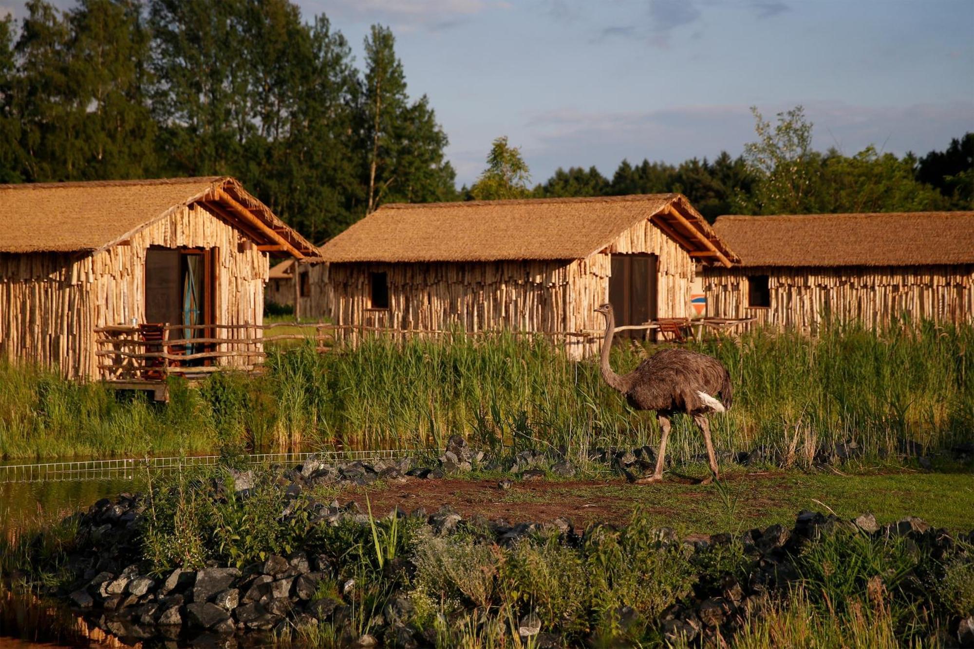 Serengeti Park Resort Hodenhagen Exterior foto